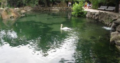 Алупка + Ливадия Алупка + Ливадия