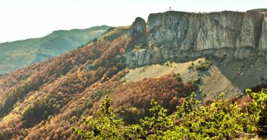 Экскурсия Царская охота. Крымский природный заповедник фото 6022 Экскурсия Царская охота. Крымский природный заповедник фото 6022
