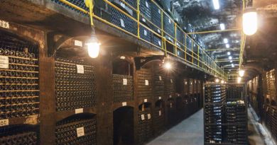 Экскурсия Дегустация вин в Массандре фото 5951 Экскурсия Дегустация вин в Массандре фото 5951