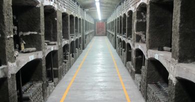 Экскурсия Созвездие «Массандра» фото 5814 Экскурсия Созвездие «Массандра» фото 5814