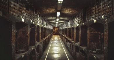 Экскурсии в Массандровский дворец из Ливадии 2019 Экскурсии в Массандровский дворец из Ливадии 2019