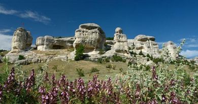 Экскурсия Чудо ослик фото 7347 Экскурсия Чудо ослик фото 7347