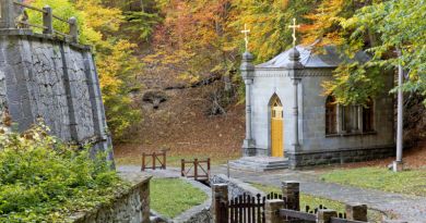 Экскурсия Царская охота. Крымский природный заповедник фото 6024 Экскурсия Царская охота. Крымский природный заповедник фото 6024