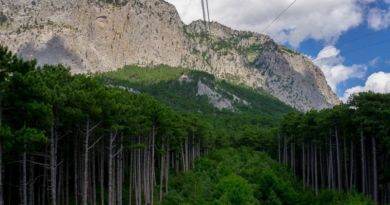 Экскурсии в Воронцовский парк из Ливадии 2019 Экскурсии в Воронцовский парк из Ливадии 2019