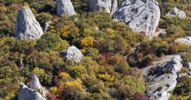 Экскурсии в Храм Солнца, «Крымский Стоунхендж» из Ливадии 2020 Экскурсии в Храм Солнца, «Крымский Стоунхендж» из Ливадии 2020